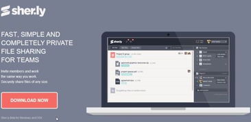 2013年11月 為網(wǎng)站設(shè)計(jì)與開發(fā)人員精選的實(shí)用工具