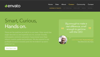 國外20個(gè)綠色系網(wǎng)站設(shè)計(jì)欣賞 環(huán)保與美學(xué)的完美融合