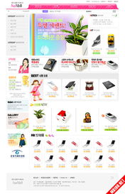 單獨開發(fā)網(wǎng)站樣式 設(shè)計流程與實施策略